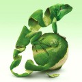 Limon kertenkele - Mark Mayers